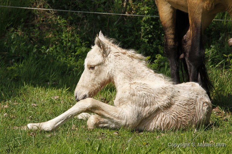 Hjoerdis 1 Stunde und 14 Min alt (2).JPG